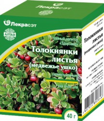 Толокнянки листья